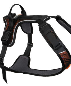 Nonstop - ROCK HARNESS